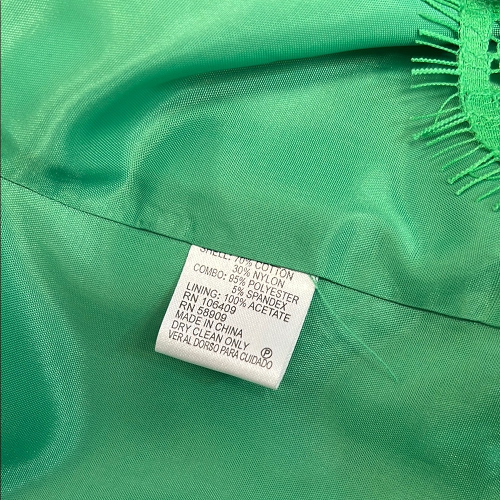 Antonio Melani Chic Green Lace Sleeveless Dress with Eyelash trim Size 12 - Picture 11 of 12